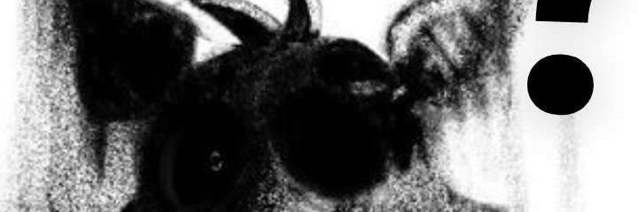 Lord Astareth Hellking banner