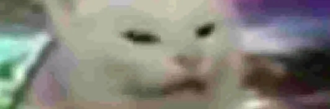 JUDY banner
