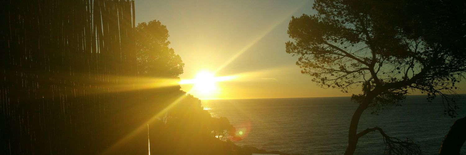 canalse's profile banner image