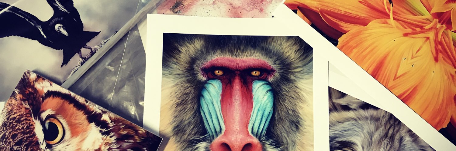 eyanobi's profile banner image