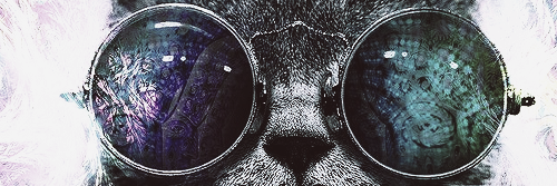 Compartilhee's profile banner image