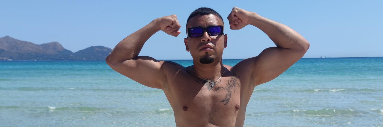 wolfmalo3's profile banner image