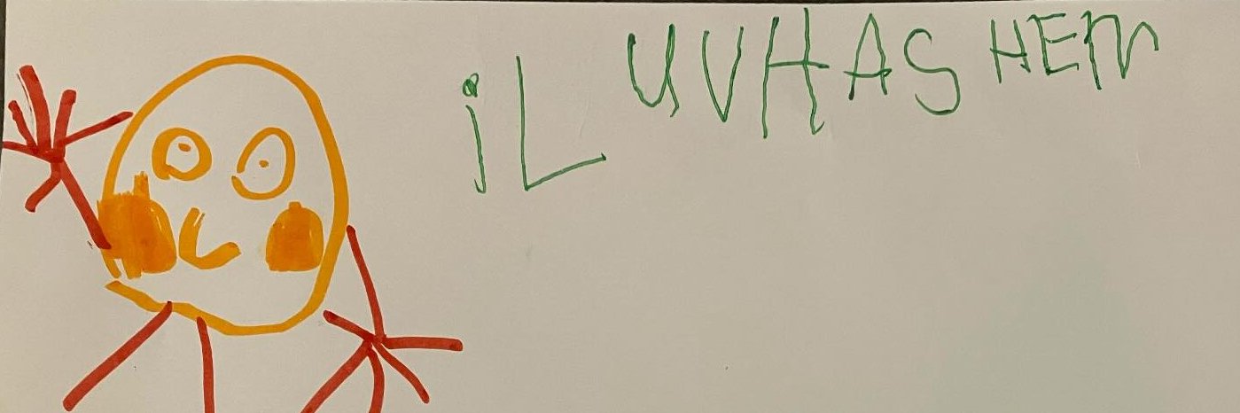 Avi Lichtschein banner