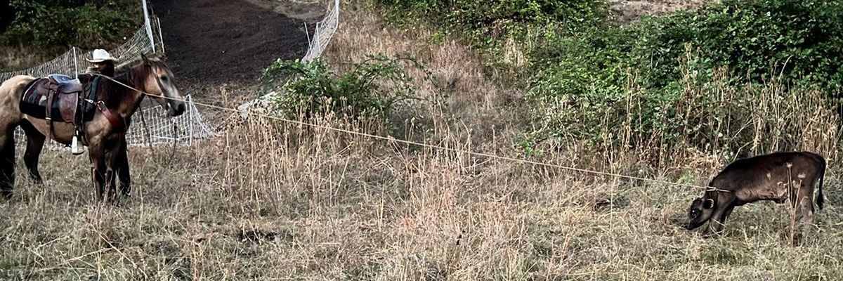 TheMyth24's profile banner image