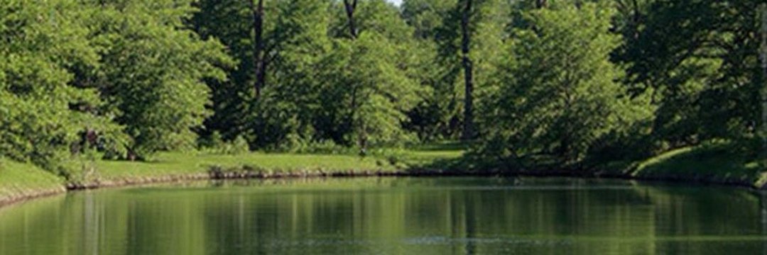 Meredithwhite37's profile banner image