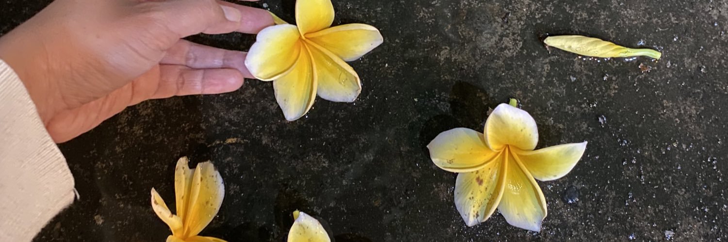 Ciluoo's profile banner image