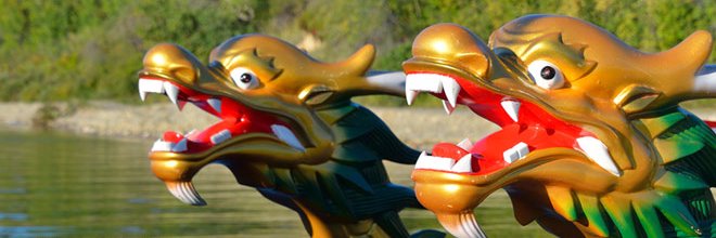 yycDragonBoatSociety banner
