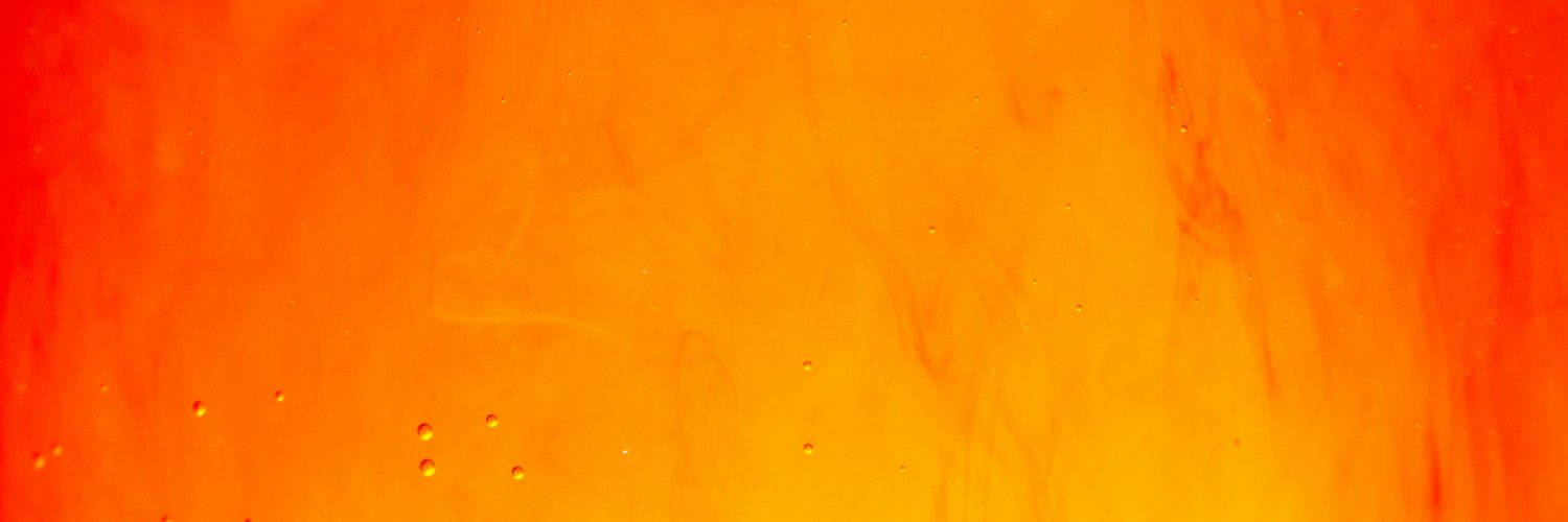 BIJUMONI Morph banner