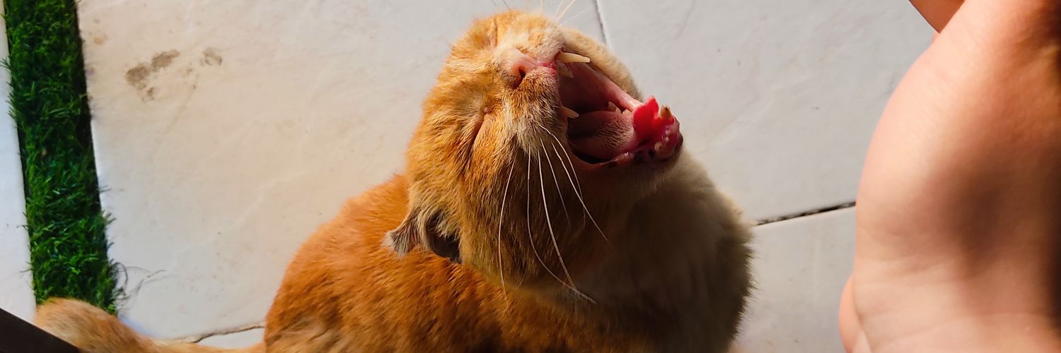 fafacoreee's profile banner image