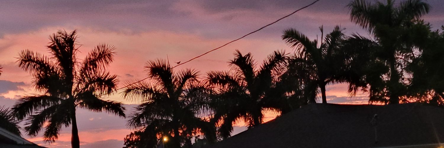 SolidHomieSeal's profile banner image