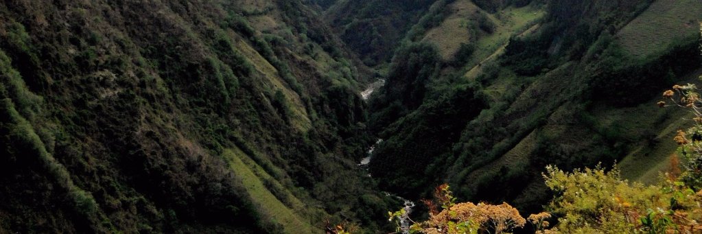 PopayorkCity's profile banner image