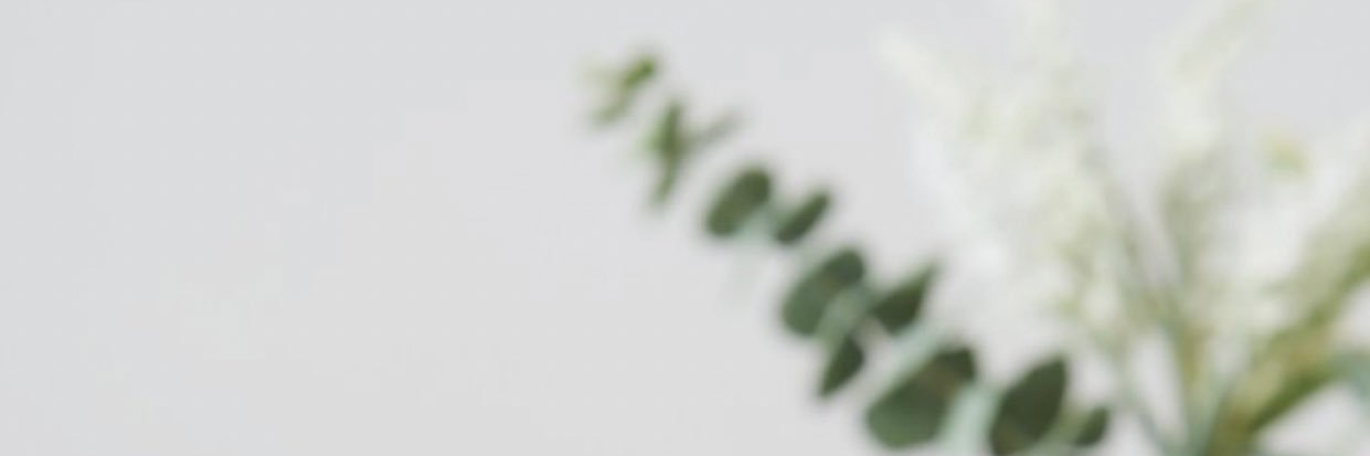 erinnsexton's profile banner image