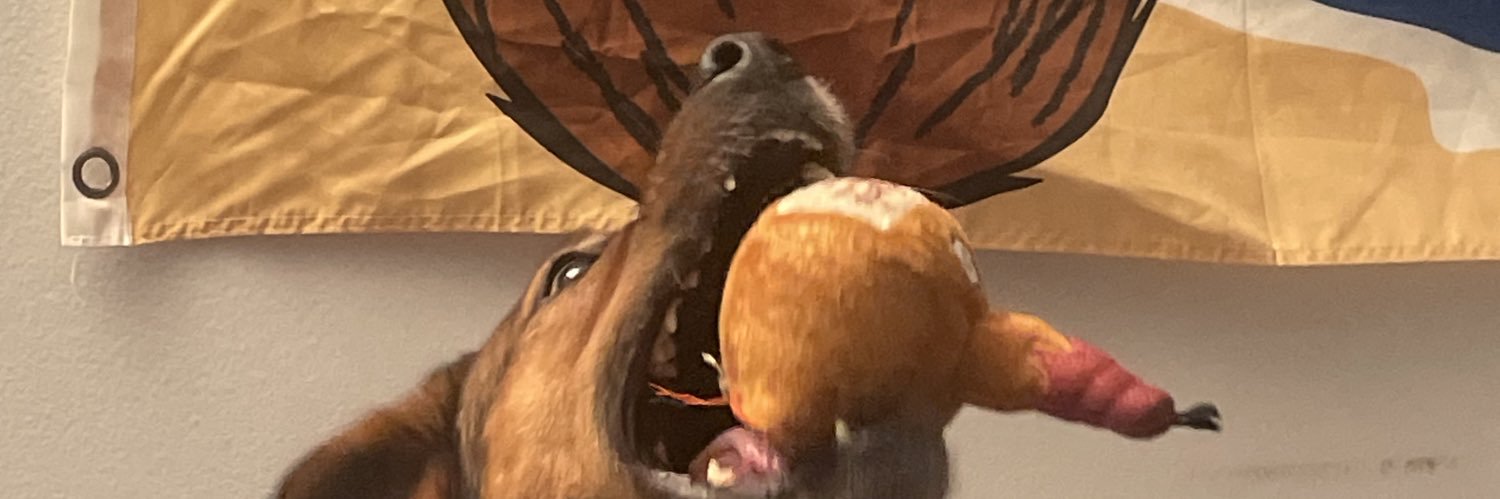 ThelegendZK's profile banner image