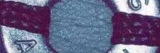 DolapoDrizzy's profile banner image