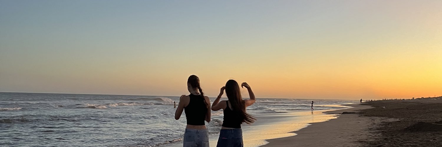 sofisousad's profile banner image