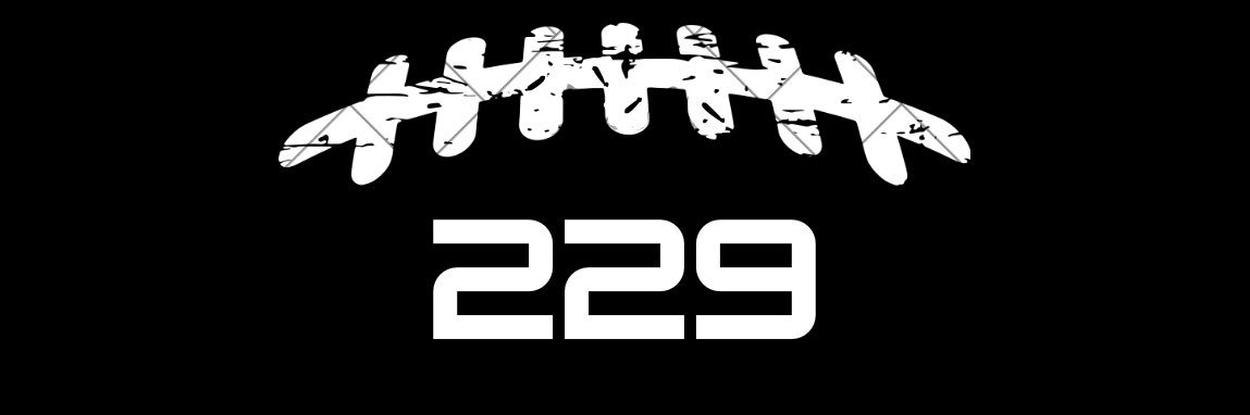 229Horns banner