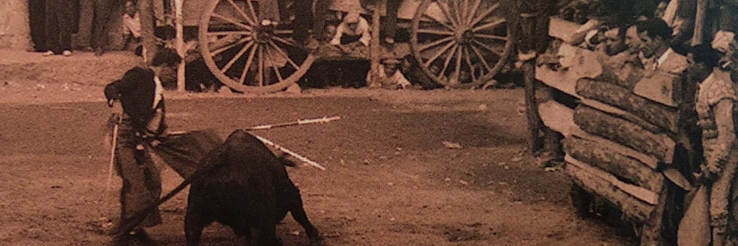 TorosenToledo banner