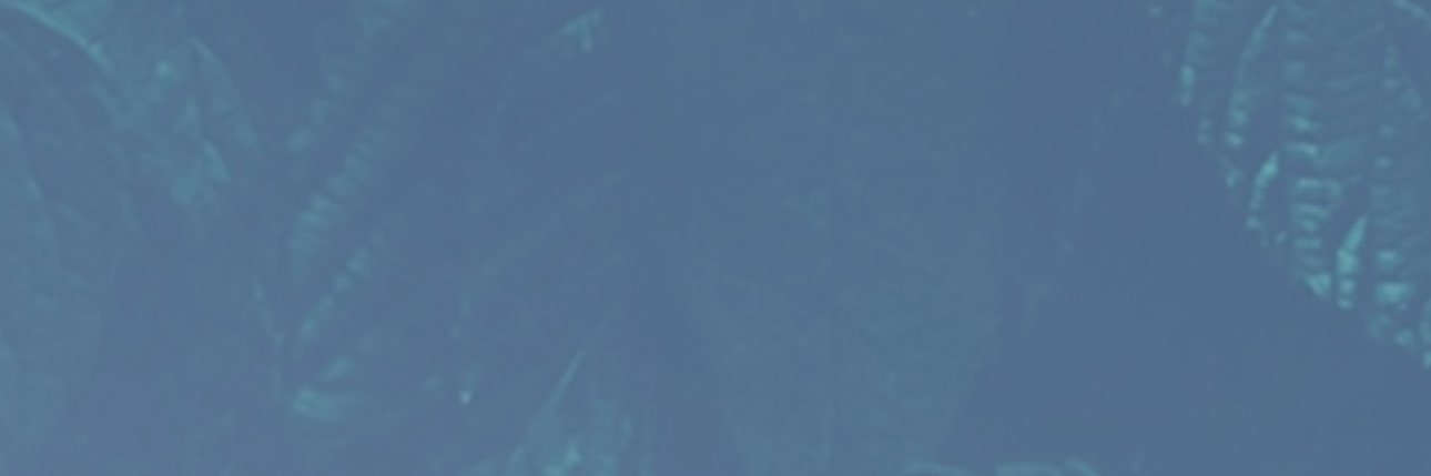 Intentionally Well Podcast's banner
