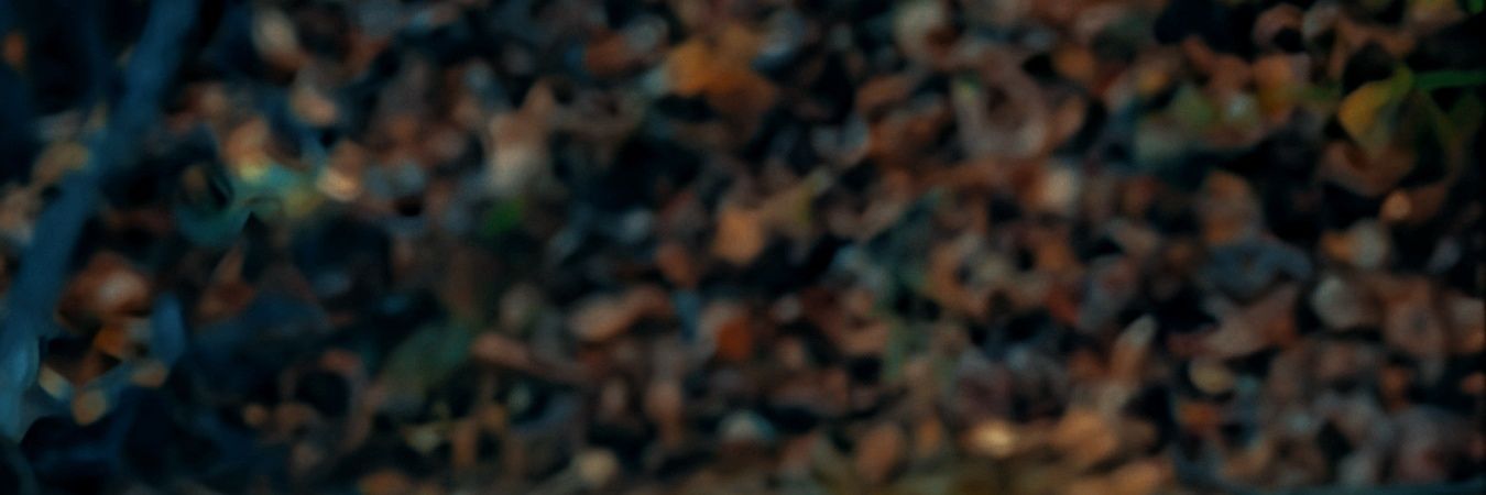 MOHA For design banner