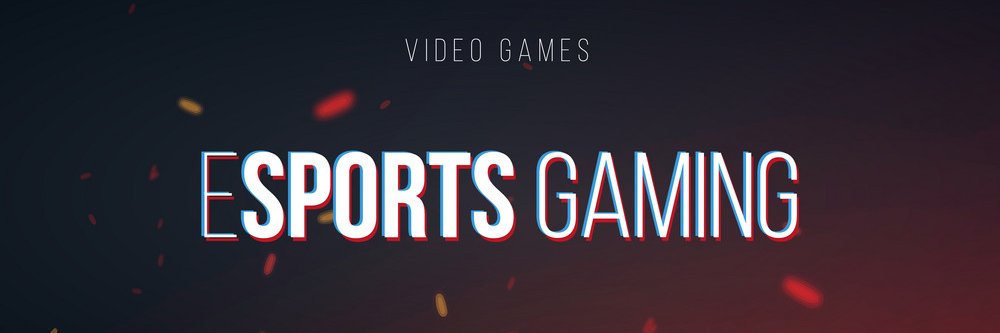 Esports fan banner
