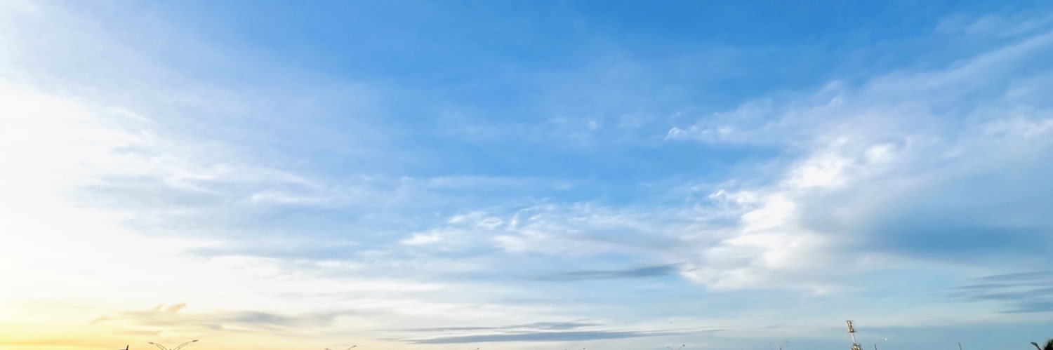 Luis S banner
