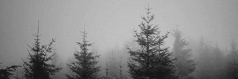 nuncamudei's profile banner image