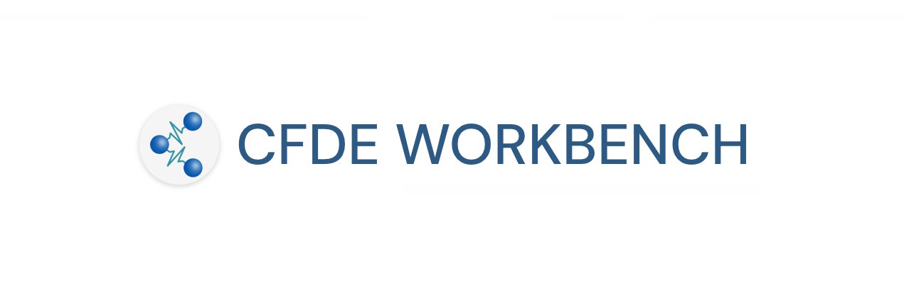 CFDE Workbench banner
