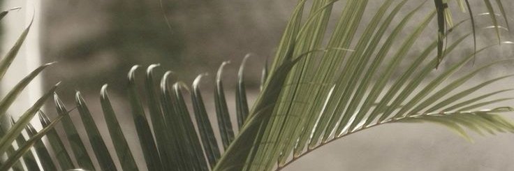 ATong_BCU's profile banner image