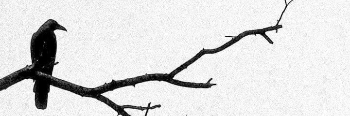 moonlight112454's profile banner image