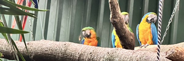 ThomistAnimals Profile Banner