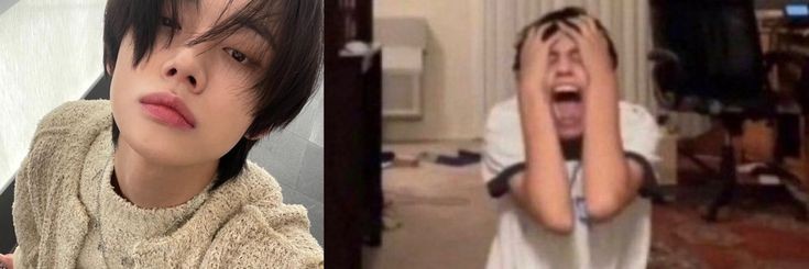 politefoxie's profile banner image