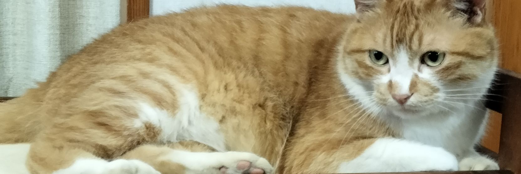 kinta2024's profile banner image