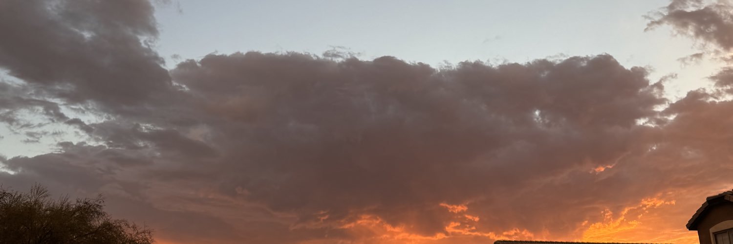 Netiarosee's profile banner image