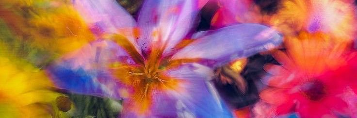 ajay ᡗ ᩙ݂◜ ᵕ ◝֯ᠩིྀ݂♡ banner