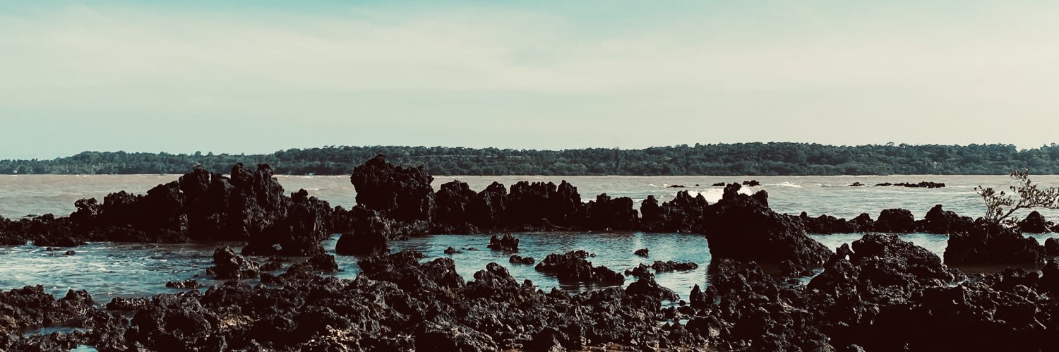 karolisaaa's profile banner image