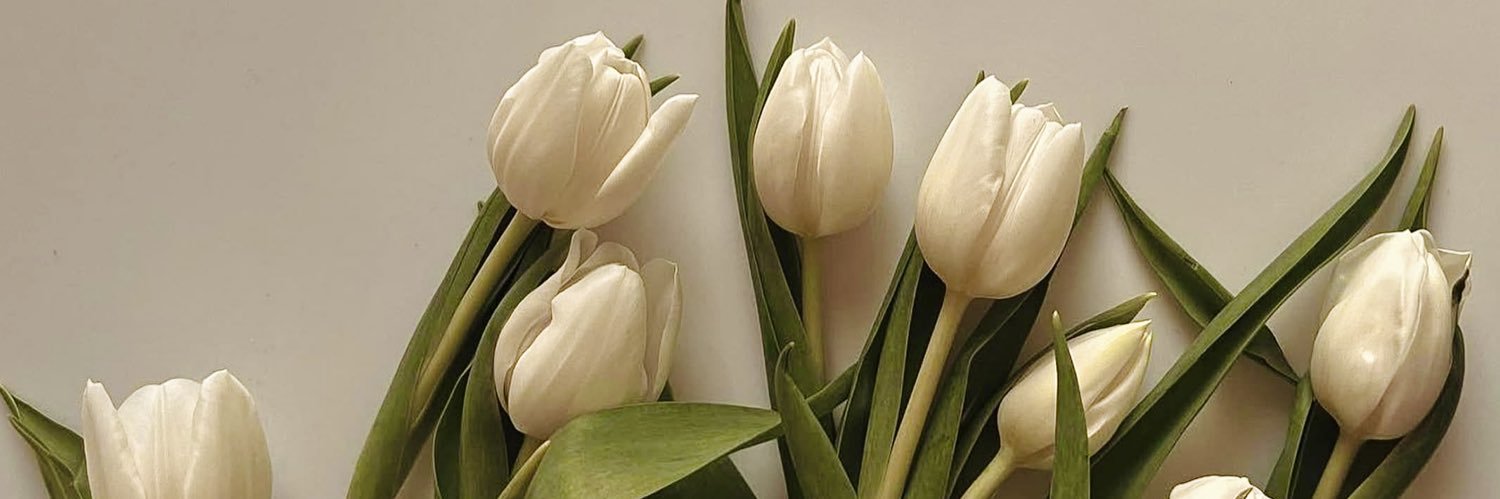 Fiorella Silvi banner