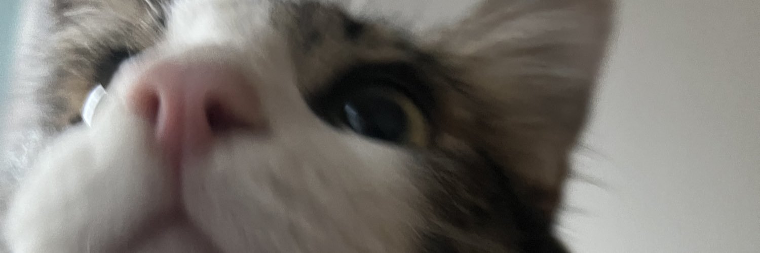 muizzbenasir's profile banner image
