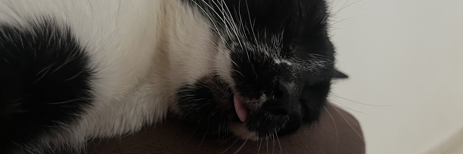 anastoorti's profile banner image