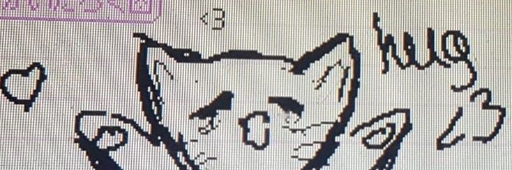 ecrick banner