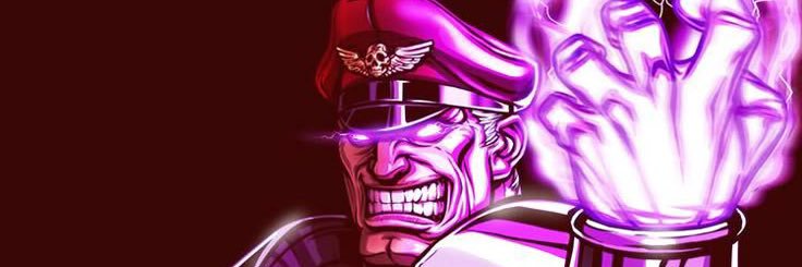 M. Bison banner