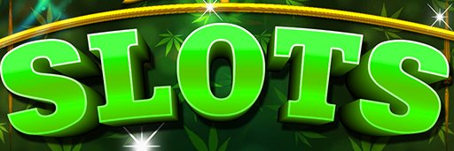 Phoenixsss1980's profile banner image