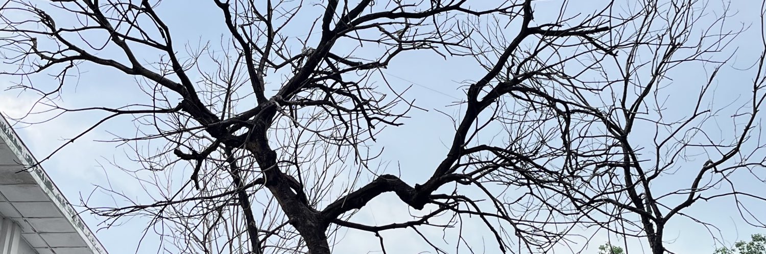 awdysr's profile banner image