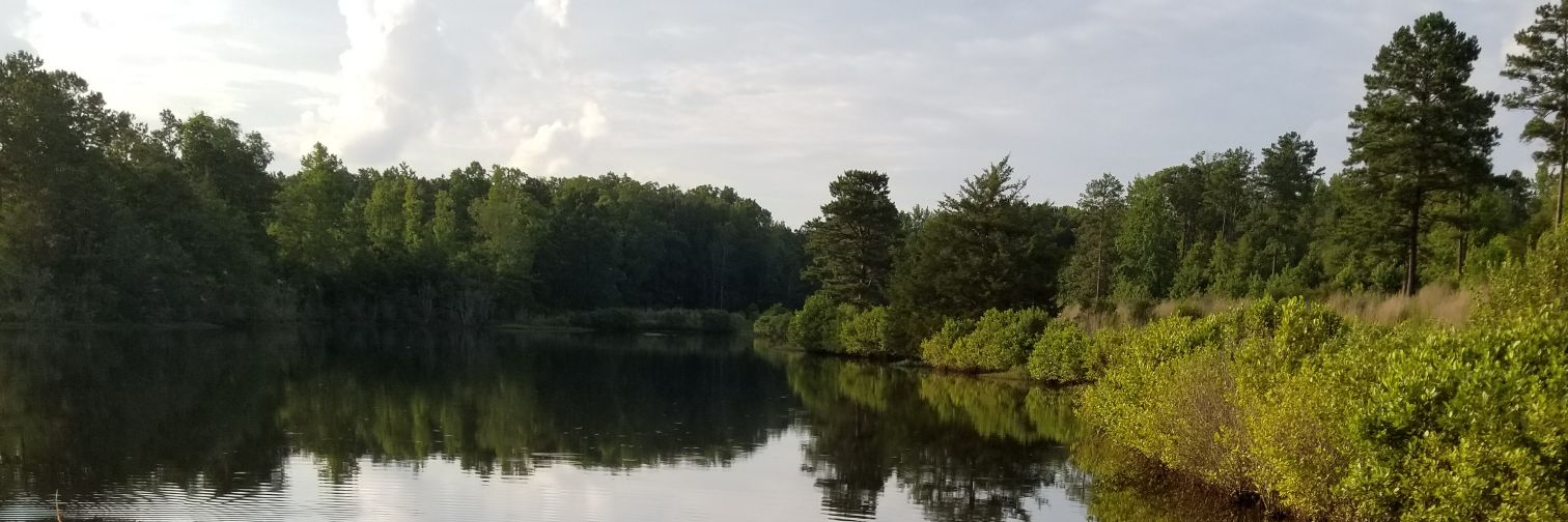 HoboHowie's profile banner image