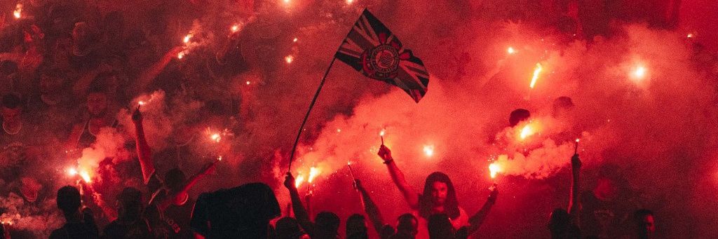 Bielzin banner