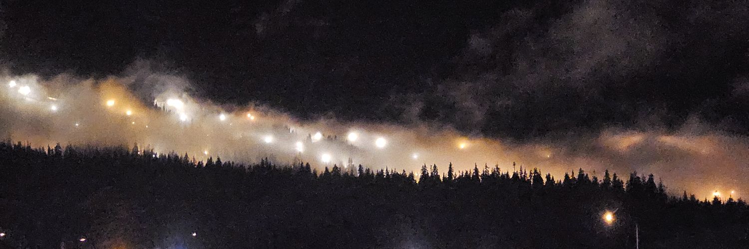 lustwasp 🔞 (comms OPEN) banner