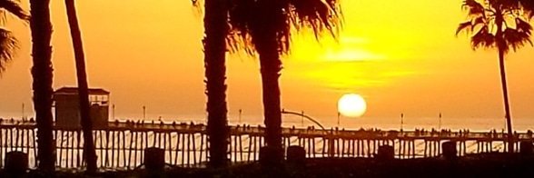 🌊⛵🌴Brandi🌴⛵🌊 banner