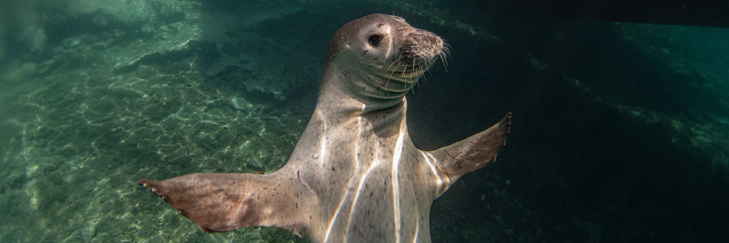 TOURAL Project banner