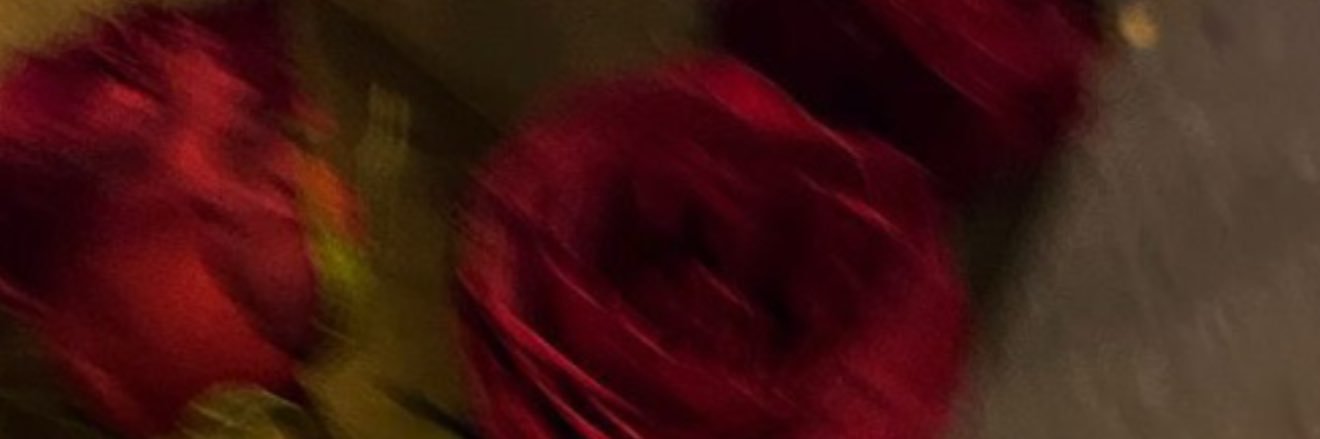 🦋𝒂𝒚𝒂𝒏𝒐🦋 banner