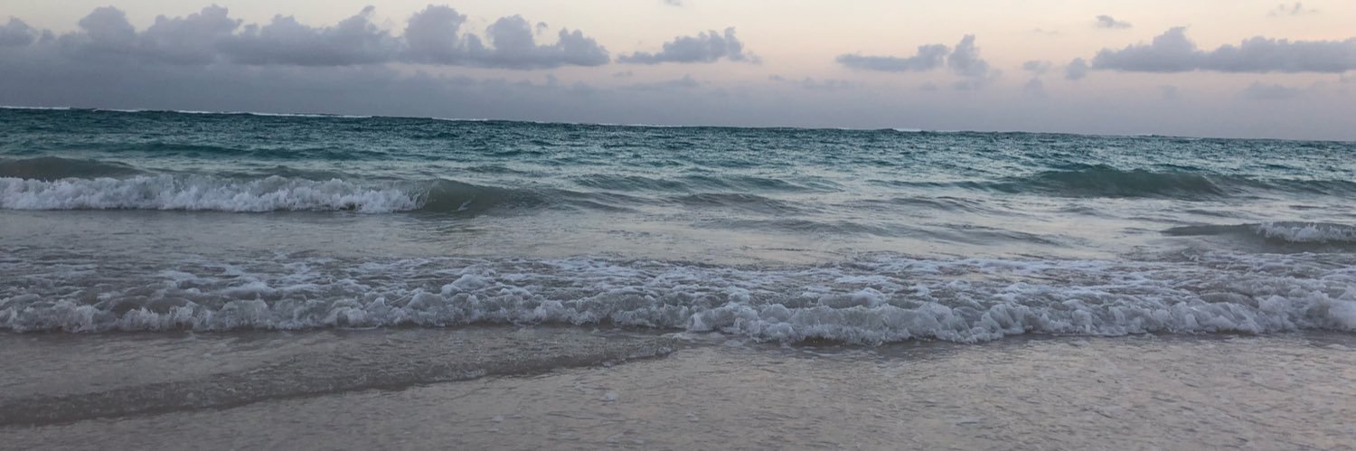 Brianna Castro, PhD banner