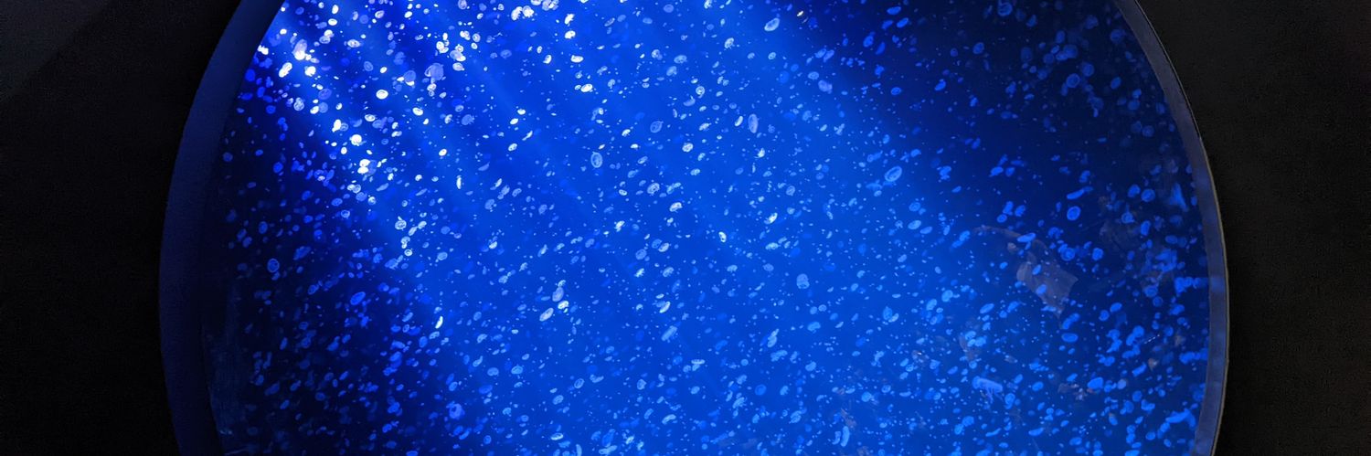 はう banner